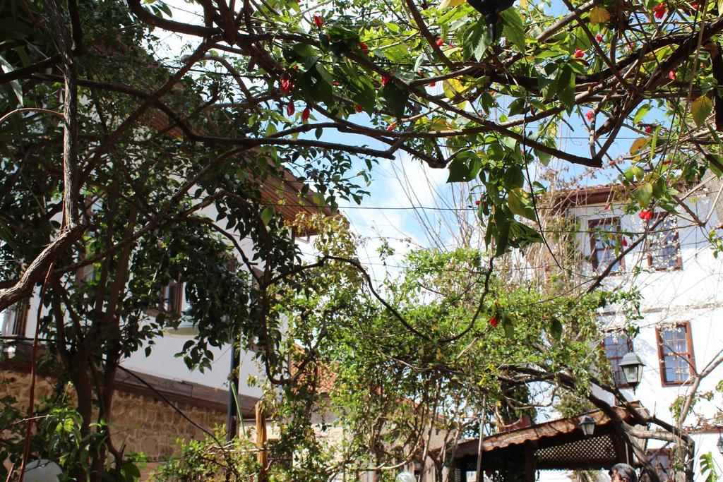 Lazer Pension Antalya Exterior foto